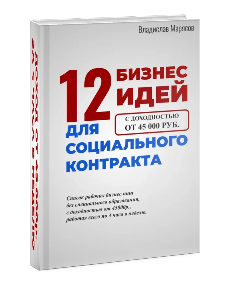 12 бизнес идей для соцконтракта